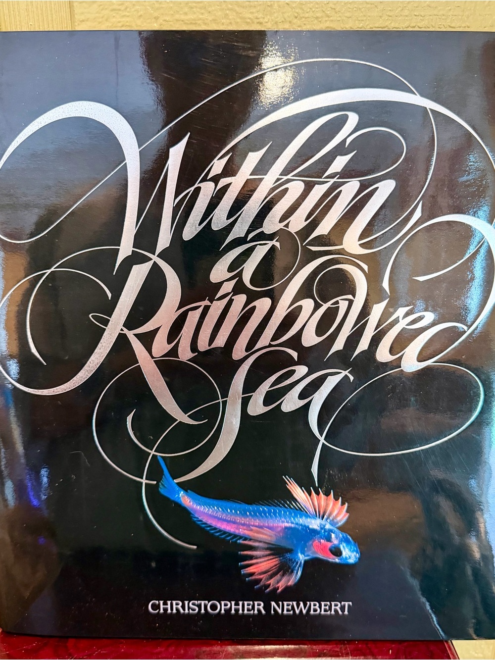 Within a Rainbowed Sea by Christopher Newbert | 1984 First Trade Edition